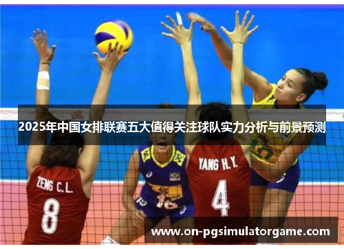 2025年中国女排联赛五大值得关注球队实力分析与前景预测