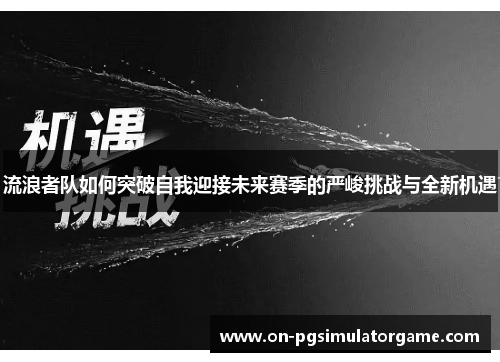 流浪者队如何突破自我迎接未来赛季的严峻挑战与全新机遇