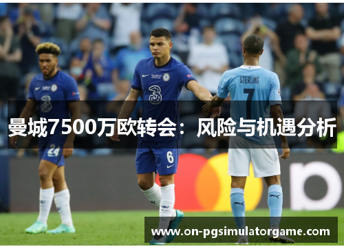 曼城7500万欧转会：风险与机遇分析