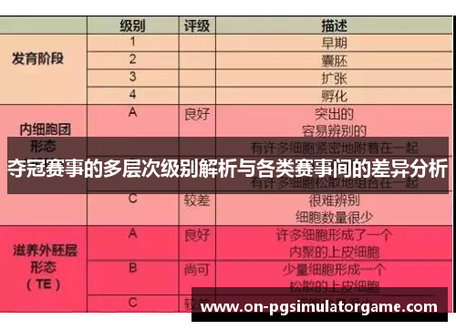 夺冠赛事的多层次级别解析与各类赛事间的差异分析