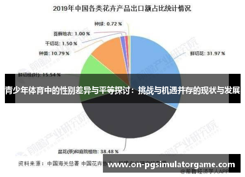 青少年体育中的性别差异与平等探讨：挑战与机遇并存的现状与发展