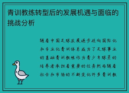 青训教练转型后的发展机遇与面临的挑战分析