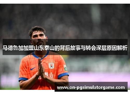 马德鲁加加盟山东泰山的背后故事与转会深层原因解析