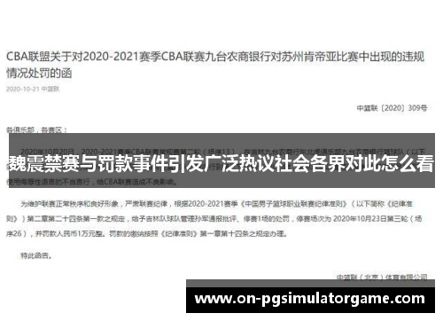 魏震禁赛与罚款事件引发广泛热议社会各界对此怎么看