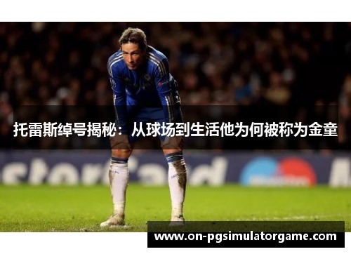 托雷斯绰号揭秘:从球场到生活他为何被称为金童 托雷斯绰号揭秘:从球场到生活他为何被称为金童