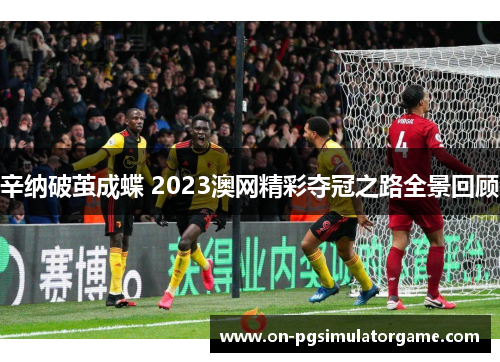 辛纳破茧成蝶 2023澳网精彩夺冠之路全景回顾