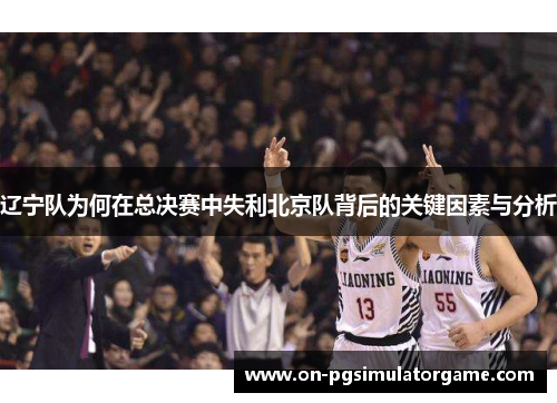 辽宁队为何在总决赛中失利北京队背后的关键因素与分析