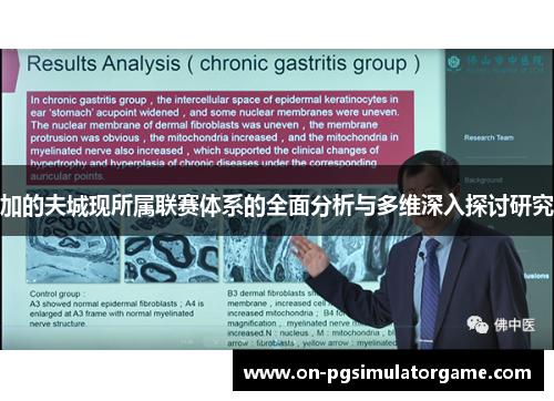 加的夫城现所属联赛体系的全面分析与多维深入探讨研究