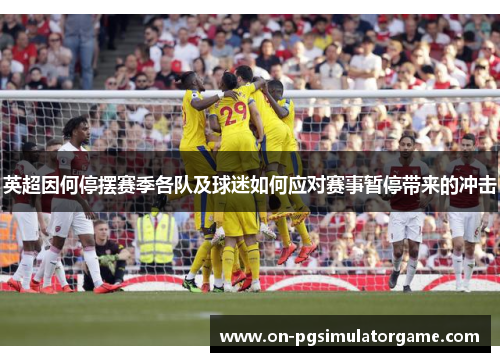 英超因何停摆赛季各队及球迷如何应对赛事暂停带来的冲击