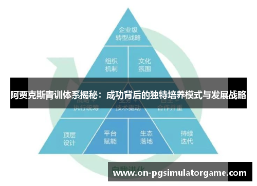 阿贾克斯青训体系揭秘:成功背后的独特培养模式与发展战略 阿贾克斯青训体系揭秘:成功背后的独特培养模式与发展战略
