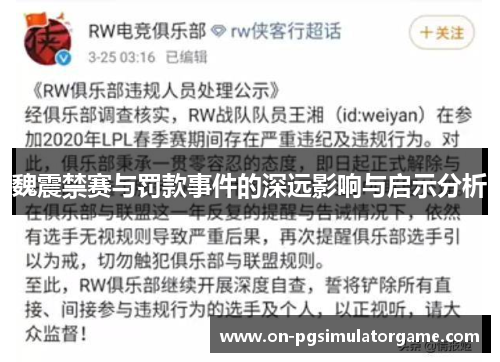魏震禁赛与罚款事件的深远影响与启示分析